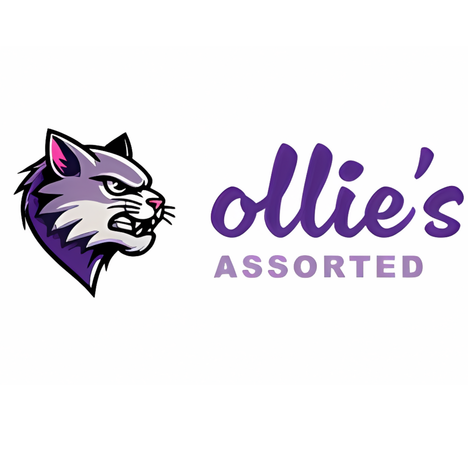 Ollie’s Assorted | Cat Lover Gifts, Pillows, Tees, Stickers & Unique Décor