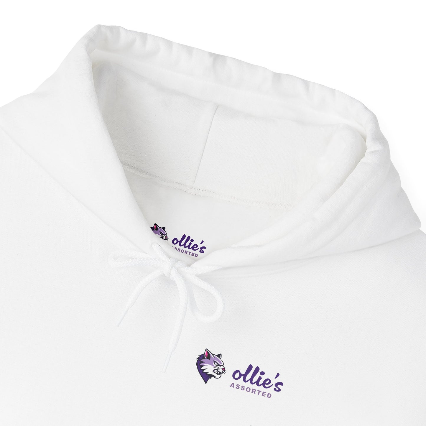 Galactic cat Hoodie | Design on the Back
